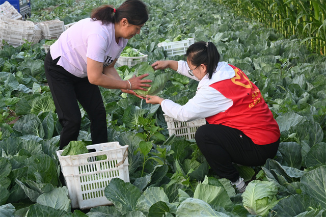 【三下乡】奔跑的南席 科技引领农业