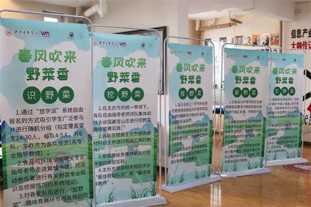【1+1>2】箕城和食环借劳动教育之春风联手打造魅力“野菜节”