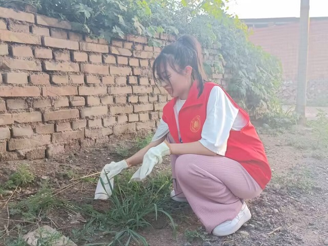 【三下乡】以行促思 匠心书写生态画卷——太行学子三下乡进行时
