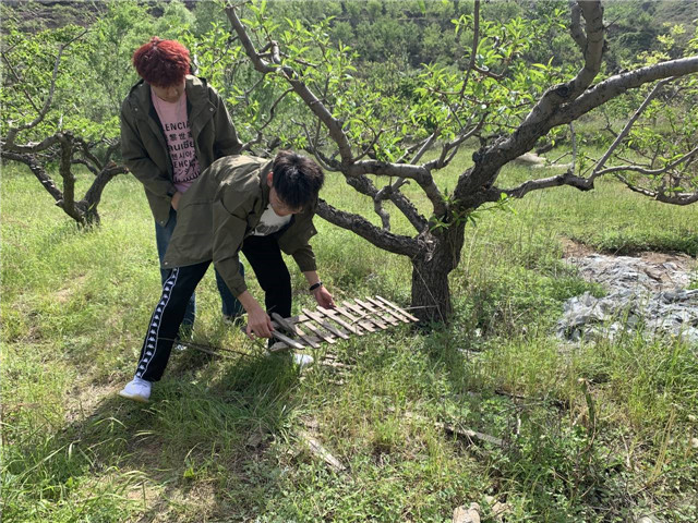 乘上初夏的“早班车”寻迹自然——与劳动Fun肆