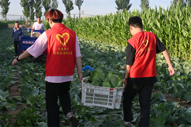 【三下乡】奔跑的南席 科技引领农业
